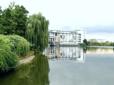 主播福利