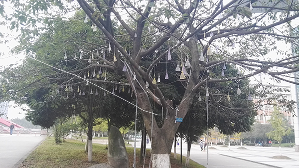主播福利