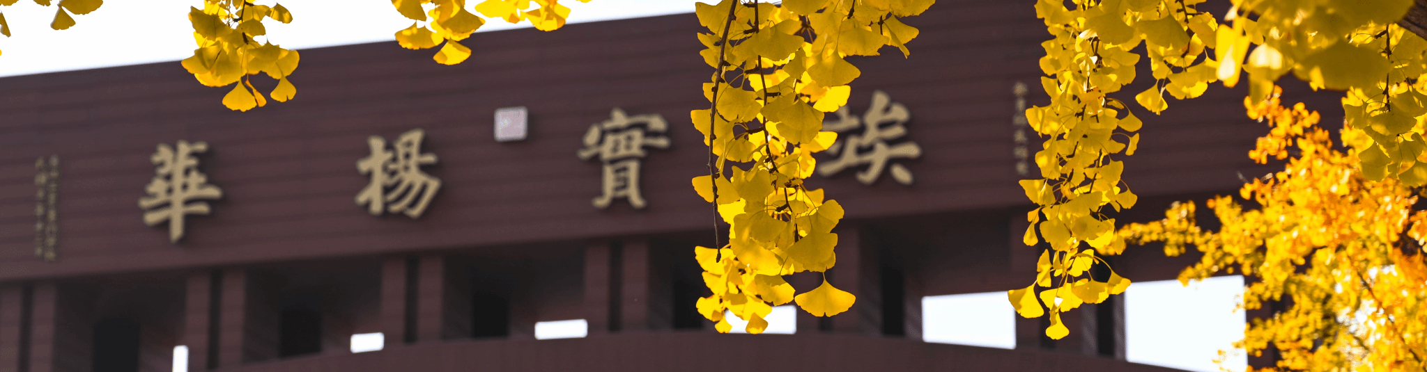 主播福利
