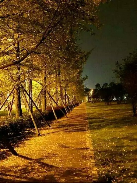 主播福利