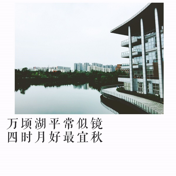 主播福利