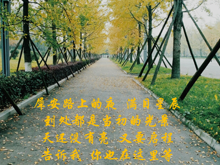 主播福利