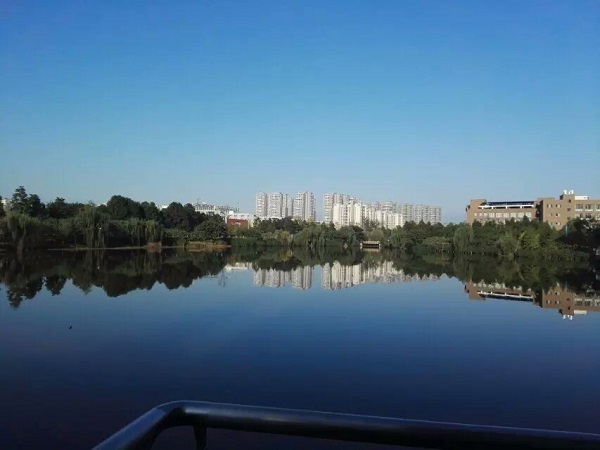 主播福利
