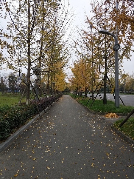 主播福利
