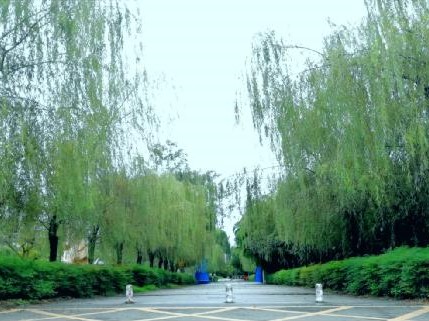 主播福利