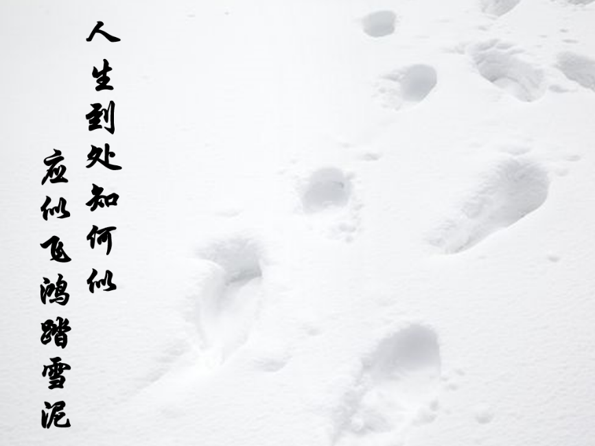 主播福利